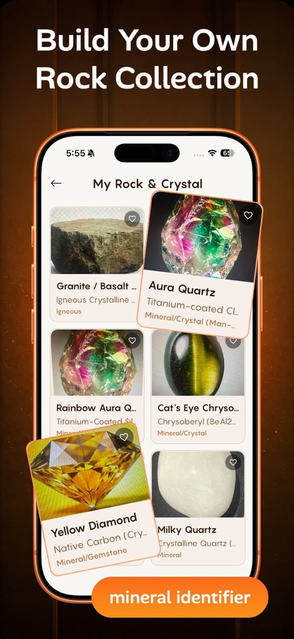 Rock Identifier collection with saved specimens